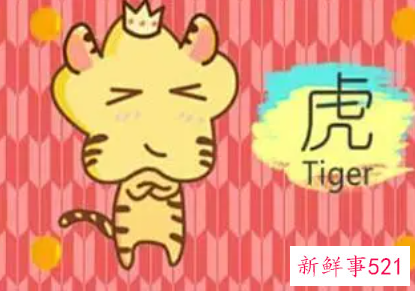 属虎女做什么行业好