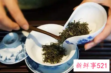 泡茶应该先放茶叶还是先放水