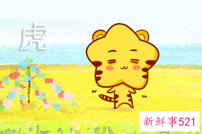 2010年属虎的是什么命