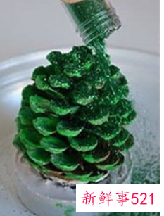 松果能做什么装饰品