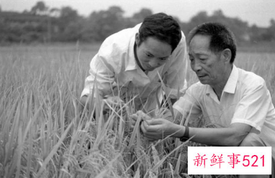 袁隆平骨灰盒被五星红旗盖着