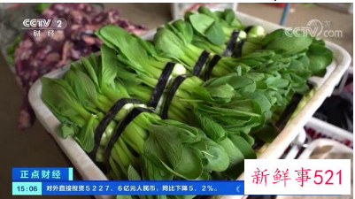 最近蔬菜为什么涨价