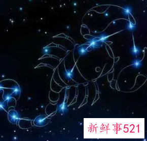 属什么的天蝎座最厉害的