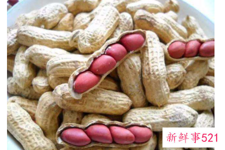 花生的蛋白质含量是多少