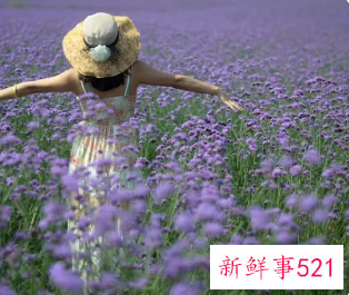 起个暴富的网名女