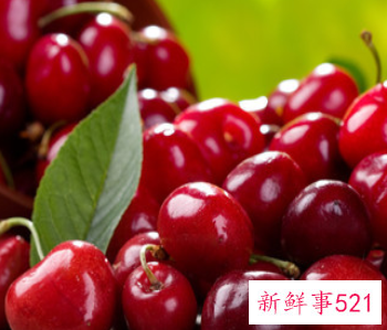 车厘子是热性还是凉性