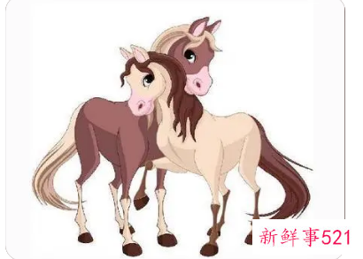 属马女人的性格弱点