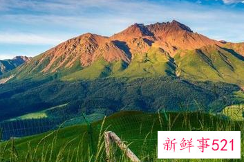 柔弱内向的女生有什么性格特点