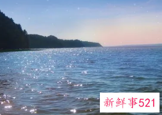 感悟句子致自己