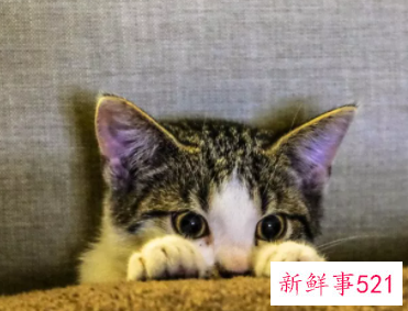 最容易导致肌肤变黑六大因素