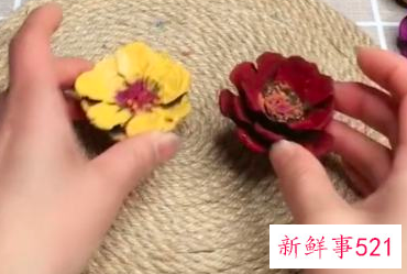 松果能做什么装饰品