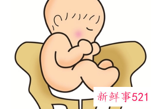 臀位一般生男孩吗