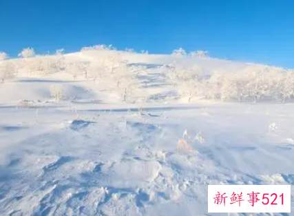 梦见地上一层雪是什么意思