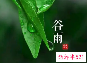 谷雨节气的古诗