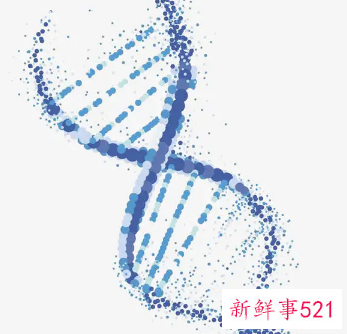 宝宝哪些特征来自于你的DNA