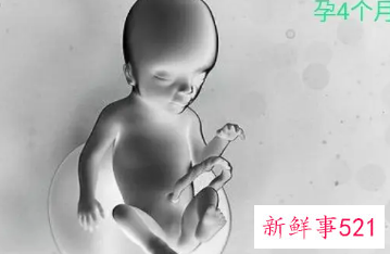 怀男孩4个月的症状