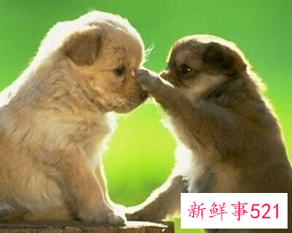 形容遇到好知己的个性说说