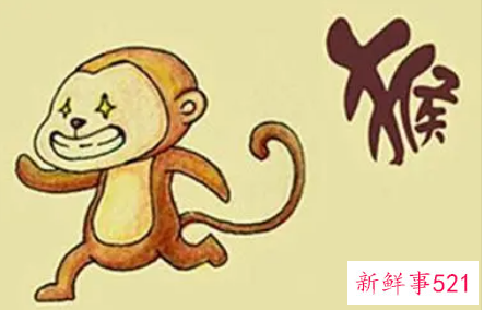 属猴人永久吉利的颜色