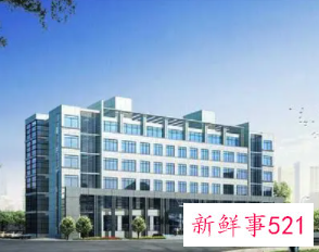 公司转正后发言稿简短表态