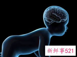 怎样开发孩子的智力特别是右脑