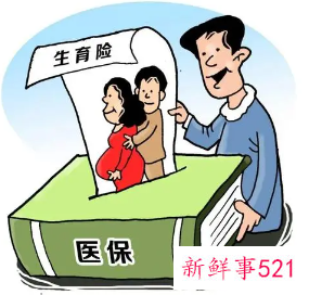 怎么看生育保险的基数
