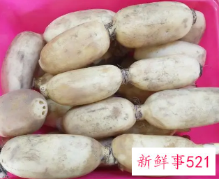 莲藕大的好还是小的好