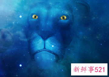 让巨蟹座一辈子惦记的星座