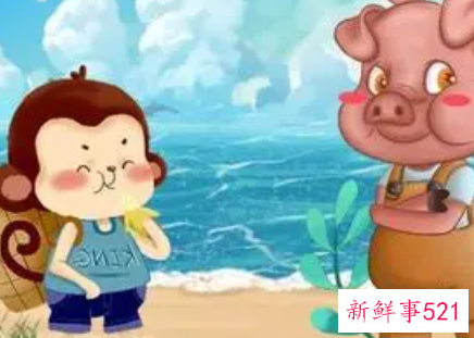 属猴男和属猪女的婚姻配吗