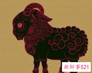 1991年属羊下半年财运怎么样