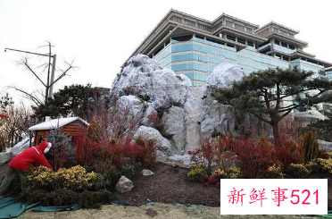 冬奥主题花坛将于20日完工亮相