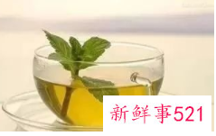 夏季喝什么养生茶