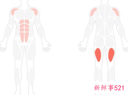 什么运动可以锻炼全身肌肉