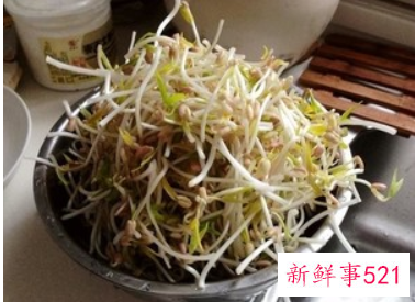 凉拌绿豆芽干豆腐丝