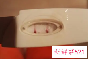 已经怀孕了还会受孕吗