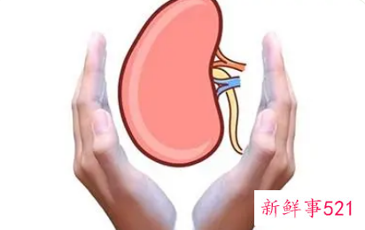 女性肾功能不好怎么调理