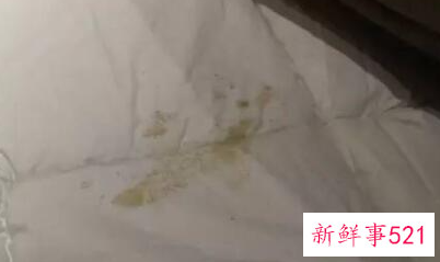 棉花褥子被尿后如何清洗