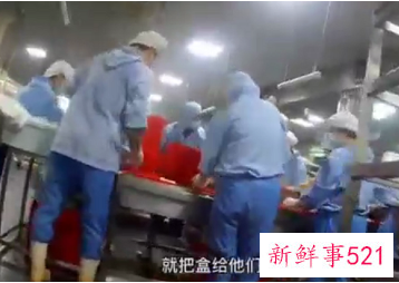 网传天津一学校配餐公司环境卫生问题严重