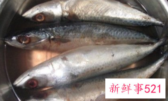 鲅鱼做法大全家常