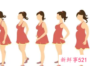 妊娠期孕妇体重增长标准