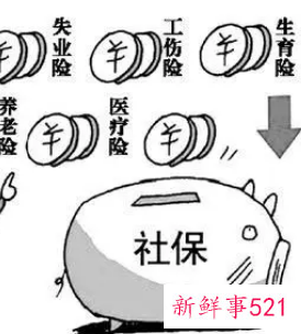 孕期被公司辞退断交社保