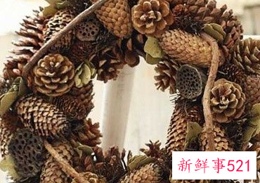 松果能做什么装饰品