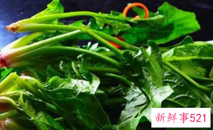 孕妇吃菠菜的注意事项