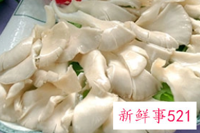 平菇不能和什么一起吃