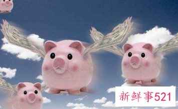 属猪人的全年运势详解