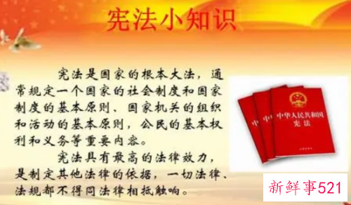 小学生学宪法怎么做