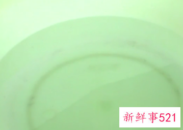 羊毛衣服染色怎么处理