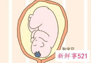 19周感觉一抽一抽的是胎动吗