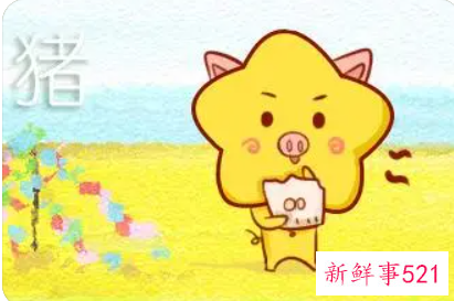 95年属猪人永久吉利的数字和颜色