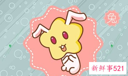 属兔的运势