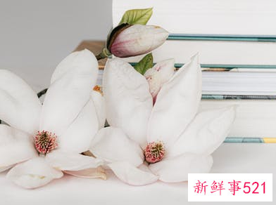 群里可以分享的育儿小知识